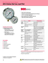 Thumbnail of document Data Sheet - 900 Series ABS & SS Liquid-Filled Press. Gauges